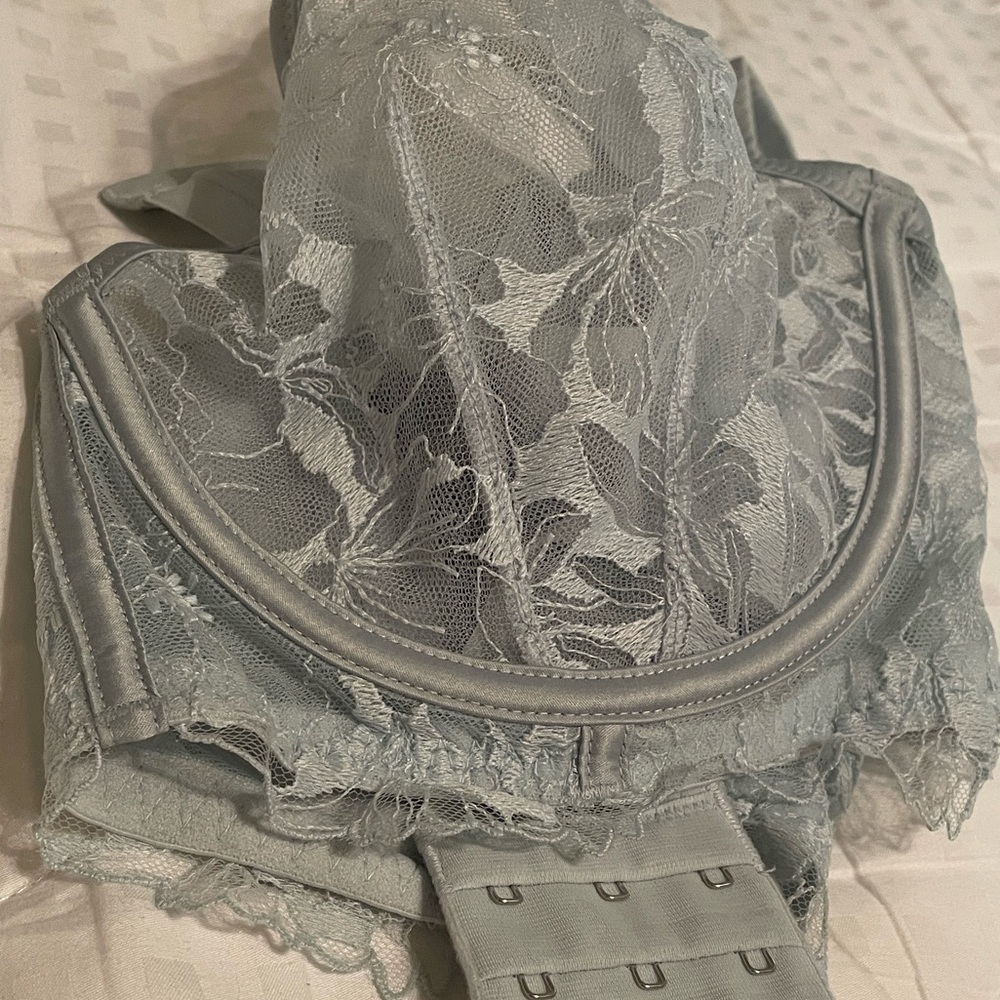 Victoria's Secret Soft Blue Unlined Plunge Lace Mesh Bra